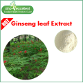 ginseng leaf extract Re 17% HPLC for cosmetic